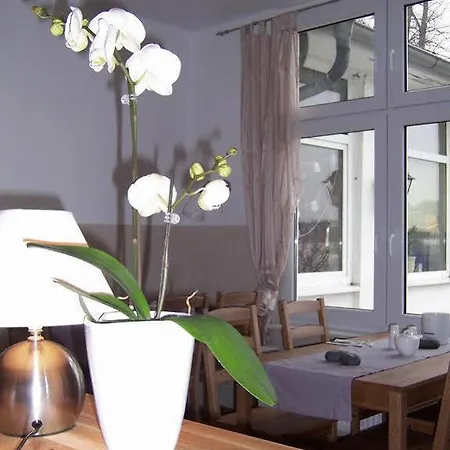 Hotel Zum Alten Fahrhaus Rostock